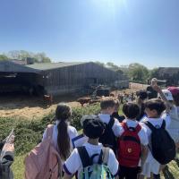 Rushall Farm Trip 2025