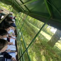 Rushall Farm Trip 2025