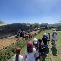 Rushall Farm Trip 2025