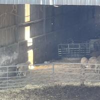 Rushall Farm Trip 2025