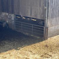 Rushall Farm Trip 2025