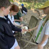 Rushall Farm Trip 2025