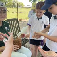 Rushall Farm Trip 2025