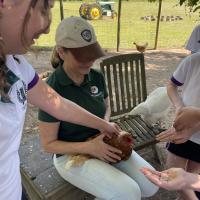Rushall Farm Trip 2025