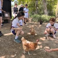 Rushall Farm Trip 2025