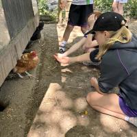 Rushall Farm Trip 2025