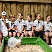Pre-Prep Farm Trip June 2024