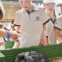 Pre-Prep Farm Trip June 2024