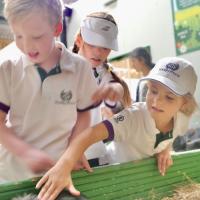 Pre-Prep Farm Trip June 2024