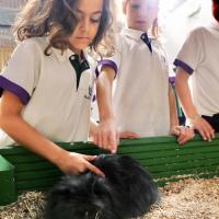 Pre-Prep Farm Trip June 2024