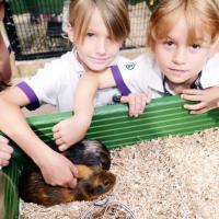 Pre-Prep Farm Trip June 2024