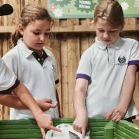 Pre-Prep Farm Trip June 2024