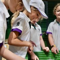 Pre-Prep Farm Trip June 2024