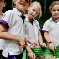 Pre-Prep Farm Trip June 2024