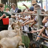 Pre-Prep Farm Trip June 2024