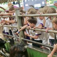 Pre-Prep Farm Trip June 2024