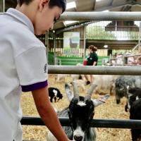 Pre-Prep Farm Trip June 2024