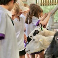Pre-Prep Farm Trip June 2024