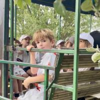 Pre-Prep Farm Trip June 2024