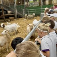 Pre-Prep Farm Trip June 2024
