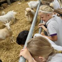 Pre-Prep Farm Trip June 2024