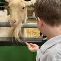 Pre-Prep Farm Trip June 2024