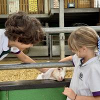 Pre-Prep Farm Trip June 2024