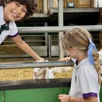 Pre-Prep Farm Trip June 2024