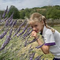 Pre-Prep Farm Trip June 2024