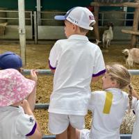 Pre-Prep Farm Trip June 2024