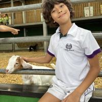 Pre-Prep Farm Trip June 2024