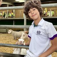 Pre-Prep Farm Trip June 2024