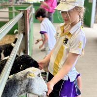 Pre-Prep Farm Trip June 2024