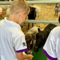 Pre-Prep Farm Trip June 2024