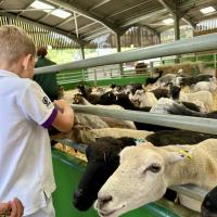 Pre-Prep Farm Trip June 2024