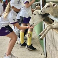 Pre-Prep Farm Trip June 2024