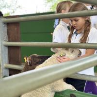 Pre-Prep Farm Trip June 2024