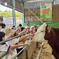 Pre-Prep Farm Trip June 2024