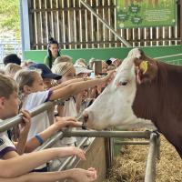 Pre-Prep Farm Trip June 2024