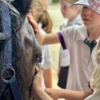 Pre-Prep Farm Trip June 2024