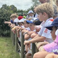 Pre-Prep Farm Trip June 2024