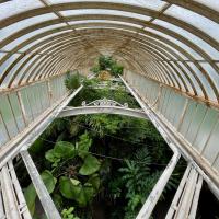10s Kew Trip 2025