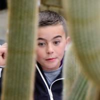 10s Kew Trip 2025