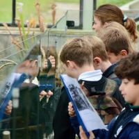 10s Kew Trip 2025