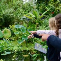 10s Kew Trip 2025