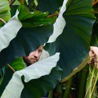10s Kew Trip 2025