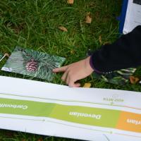 10s Kew Trip 2025