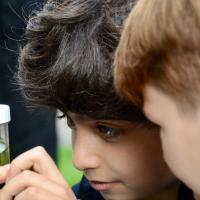 10s Kew Trip 2025