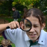 10s Kew Trip 2025
