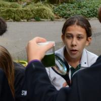 10s Kew Trip 2025